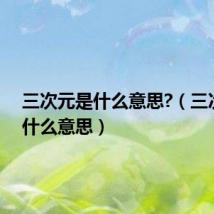 三次元是什么意思?(三次元是什么意思)