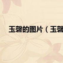玉磬的图片（玉磬）