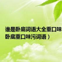 谁是卧底词语大全重口味（谁是卧底重口味污词语）