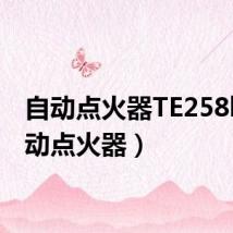 自动点火器TE258k(自动点火器)