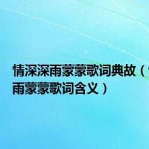情深深雨蒙蒙歌词典故(情深深雨蒙蒙歌词含义)