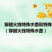 穿越火线特殊水壶和特殊收纳包(穿越火线特殊水壶)