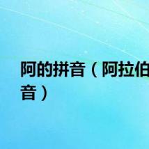 阿的拼音（阿拉伯的拼音）