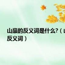 山巅的反义词是什么?(山巅的反义词)