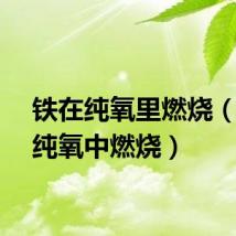 铁在纯氧里燃烧（铁在纯氧中燃烧）