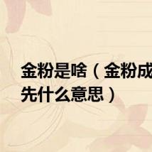 金粉是啥（金粉成员优先什么意思）