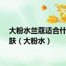 大粉水兰蔻适合什么皮肤(大粉水)
