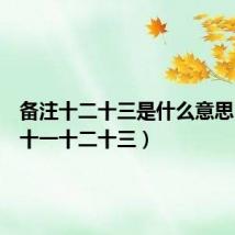 备注十二十三是什么意思（备注十一十二十三）