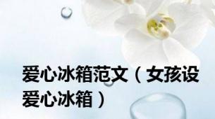爱心冰箱范文（女孩设爱心冰箱）