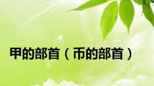 甲的部首（币的部首）