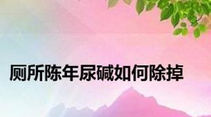 厕所陈年尿碱如何除掉