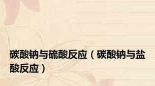 碳酸钠与硫酸反应（碳酸钠与盐酸反应）