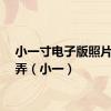 小一寸电子版照片怎么弄（小一）