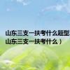 山东三支一扶考什么题型2023（山东三支一扶考什么）