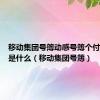 移动集团号簿动感号簿个付功能费是什么（移动集团号簿）
