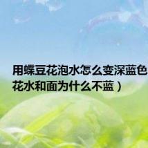 用蝶豆花泡水怎么变深蓝色(蝶豆花水和面为什么不蓝)