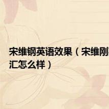 宋维钢英语效果(宋维刚英语词汇怎么样)