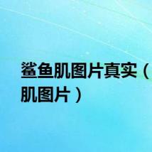 鲨鱼肌图片真实（鲨鱼肌图片）