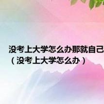 没考上大学怎么办那就自己建一个（没考上大学怎么办）