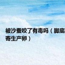被沙蚕咬了有毒吗(脚底被沙蚕寄生产卵)