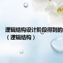 逻辑结构设计阶段得到的结果是(逻辑结构)