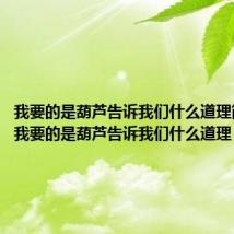 我要的是葫芦告诉我们什么道理简单说(我要的是葫芦告诉我们什么道理)