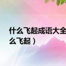 什么飞起成语大全（什么飞起）