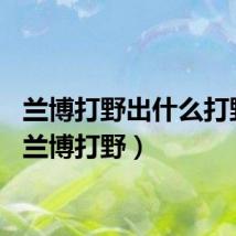 兰博打野出什么打野刀（兰博打野）