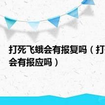 打死飞蛾会有报复吗(打死飞蛾会有报应吗)
