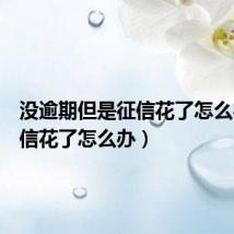 没逾期但是征信花了怎么办(征信花了怎么办)