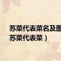 苏菜代表菜名及图片（苏菜代表菜）