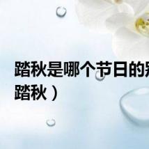踏秋是哪个节日的别称（踏秋）