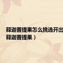 释迦菩提果怎么挑选开出好看(释迦菩提果)