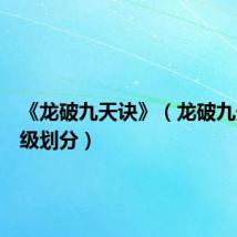 《龙破九天诀》(龙破九天决等级划分)