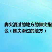 脚尖滑过的地方的脚尖指的是什么(脚尖滑过的地方)