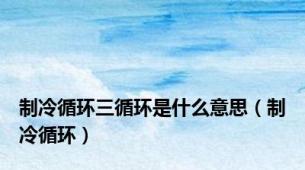 制冷循环三循环是什么意思（制冷循环）