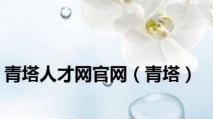 青塔人才网官网（青塔）