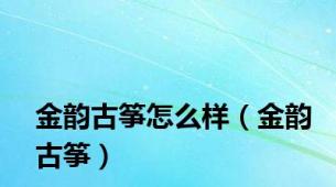 金韵古筝怎么样（金韵古筝）