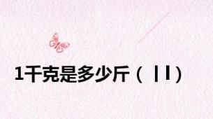 1千克是多少斤（丨l）
