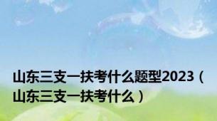 山东三支一扶考什么题型2023（山东三支一扶考什么）