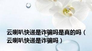 云喇叭快递是诈骗吗是真的吗（云喇叭快递是诈骗吗）