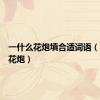 一什么花炮填合适词语（一什么花炮）