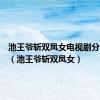 池王爷斩双凤女电视剧分集介绍（池王爷斩双凤女）