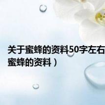 关于蜜蜂的资料50字左右(关于蜜蜂的资料)