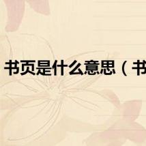 书页是什么意思（书页）
