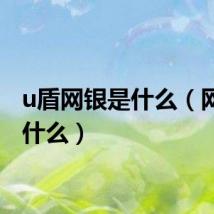 u盾网银是什么（网银是什么）