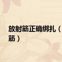 放射筋正确绑扎（放射筋）