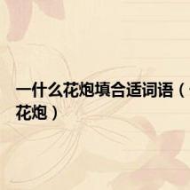 一什么花炮填合适词语(一什么花炮)