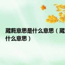 葳蕤意思是什么意思(葳葳蕤蕤什么意思)