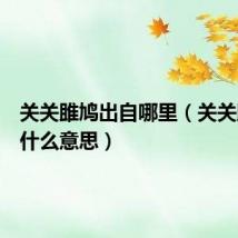 关关雎鸠出自哪里(关关雎鸠是什么意思)